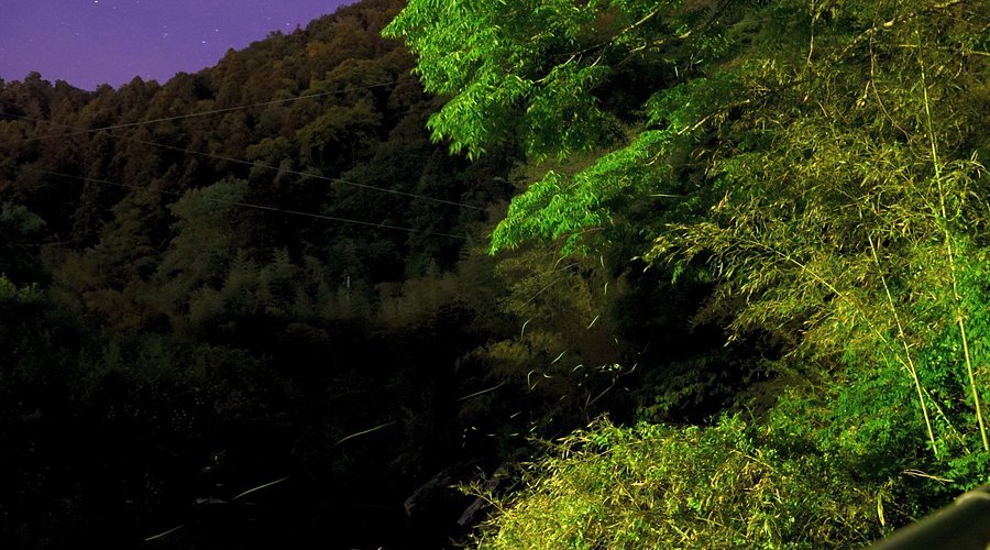 🦋 미사토 호타루칸 (美郷ほたる館)